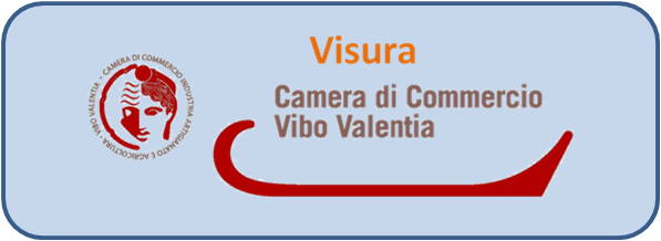 Visura